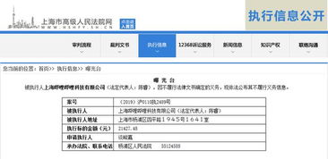 嗶哩嗶哩因不履行法律義務(wù)被上海高院列為被執(zhí)行人 技術(shù)咨詢及技術(shù)服務(wù)糾紛的警示